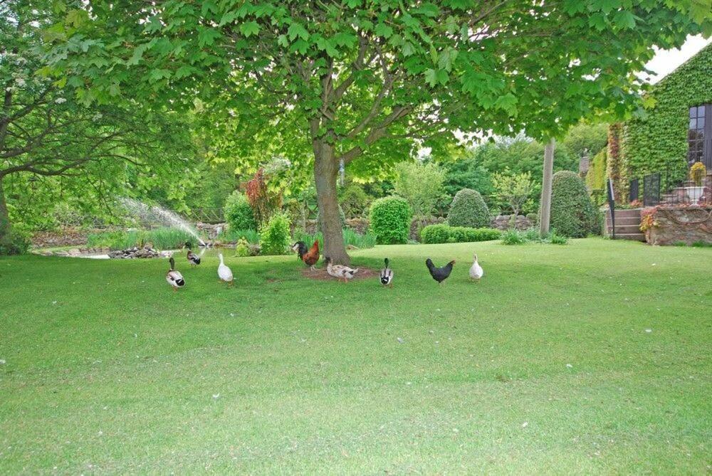 Croft Cottage Yeavering Вулер Екстер'єр фото